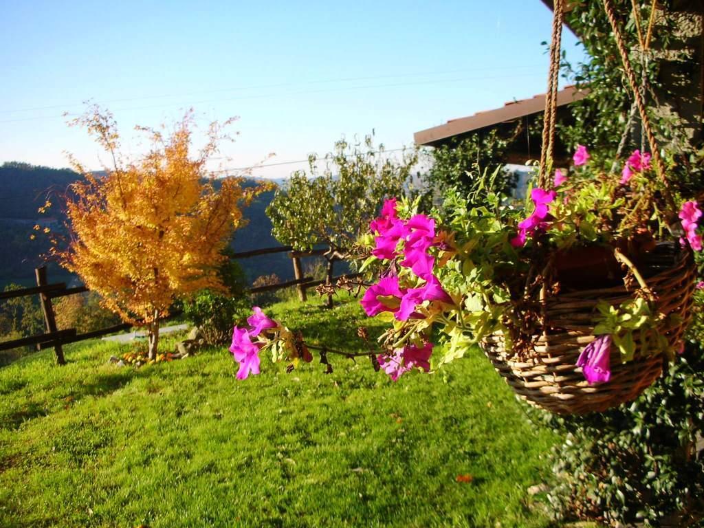 Agriturismo Le Piagge Ponzone Exteriér fotografie