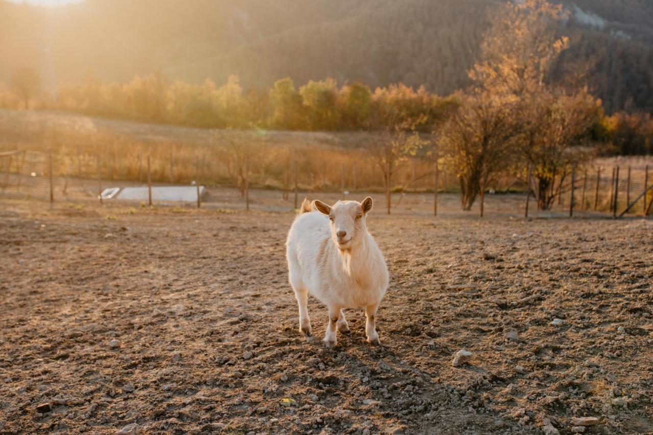 Agriturismo Le Piagge Ponzone Exteriér fotografie